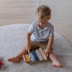 Plan Toys Oval Xylophone - Orchard - PT 6441 5 Plan Toys Oval Xylophone - Orchard - PT 6441 -Baby Products Store 15 3908f6a8 b1ab 43ed aeb4 93ddccbf731f