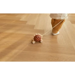 Plan Toys Pull Along Hedgehog Brown -Baby Products Store 4 3a19562d ec68 418c 883d 710e9eb6196b