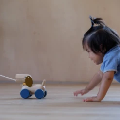 Plan Toys Push & Pull Puppy - PT 5724 -Baby Products Store 71 aff42a05 bf9e 4cf7 a709 e69179dd2559