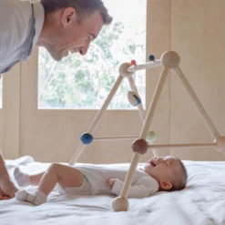 Plan Toys Play Gym - Orchard - PT 5270 -Baby Products Store 79